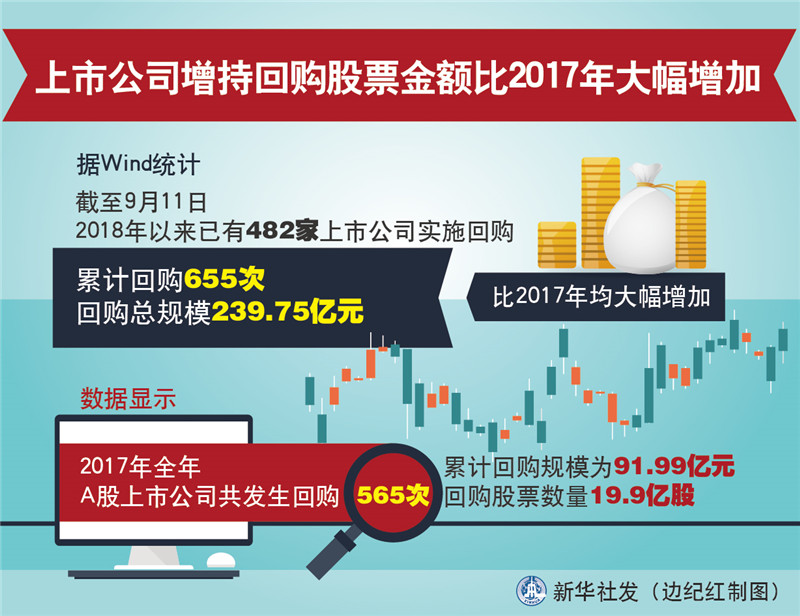 股票增持，策略、影響與考量因素，股票增持策略，影響因素與考量因素深度解析