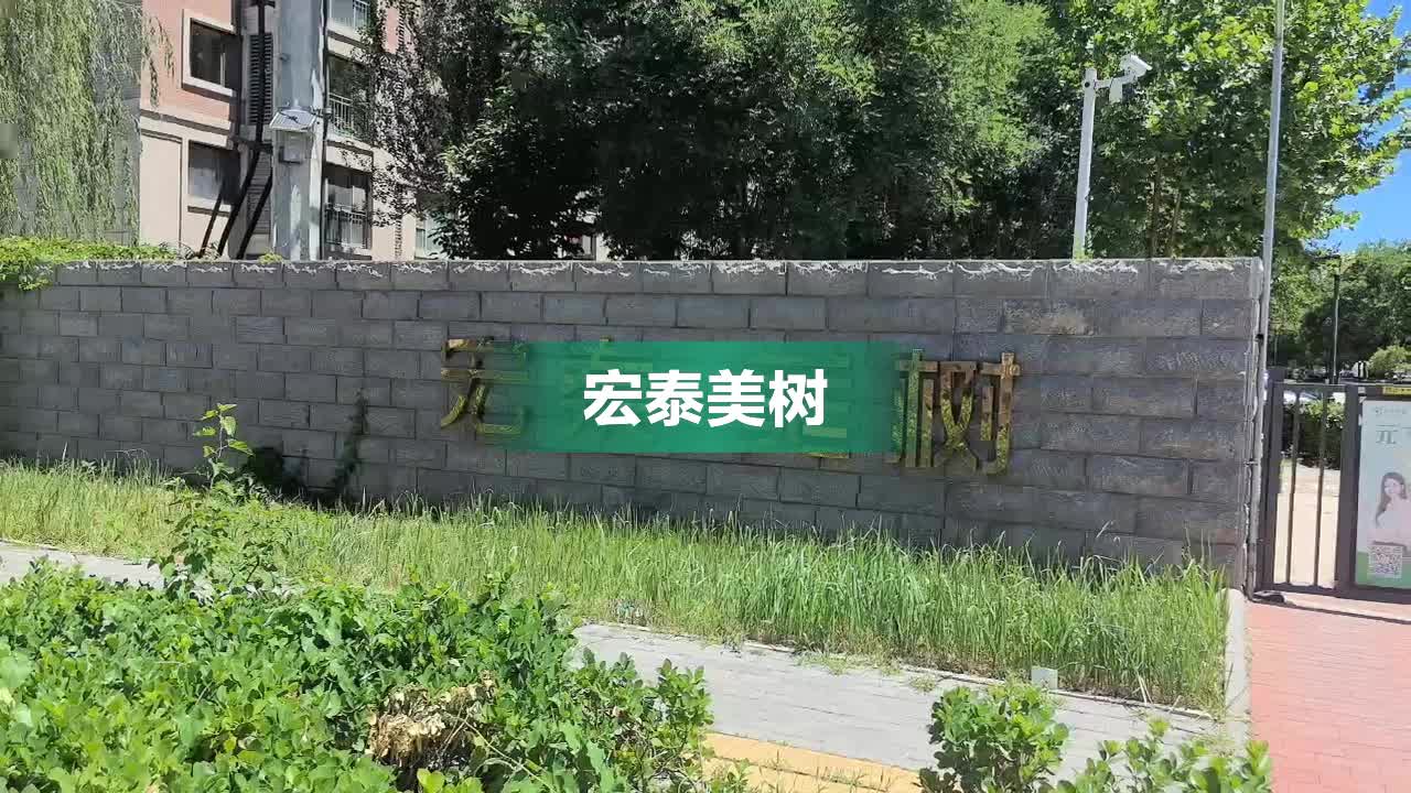 宏泰美樹最新房價動態(tài)，市場走勢與購房指南，宏泰美樹房價最新動態(tài)，市場走勢分析與購房指南發(fā)布