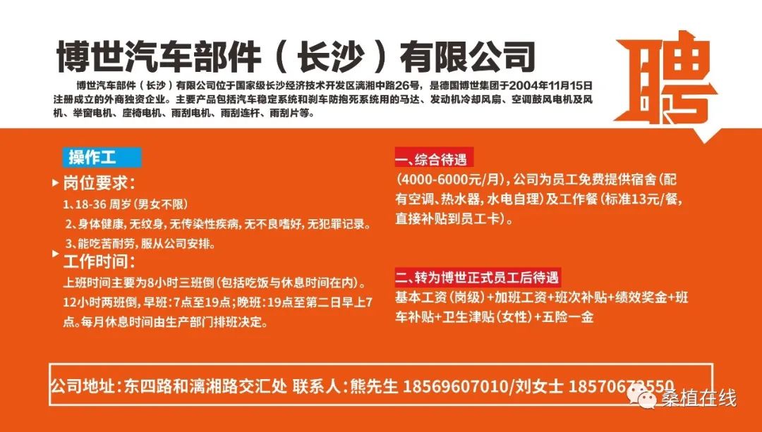 冷水灘區(qū)司機最新招聘動態(tài)及行業(yè)趨勢分析，冷水灘區(qū)司機招聘最新動態(tài)與行業(yè)趨勢解析