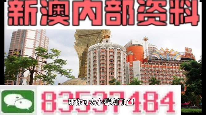 澳門內(nèi)部資料精準(zhǔn)大全2023——警惕違法犯罪風(fēng)險，澳門內(nèi)部資料精準(zhǔn)大全背后的風(fēng)險，警惕違法犯罪威脅 2023年警惕篇