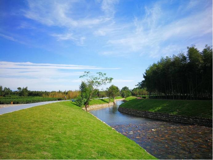 熊貓公園的最新消息，探索自然與文化的融合之旅，熊貓公園最新動態(tài)，自然與文化融合之旅探索