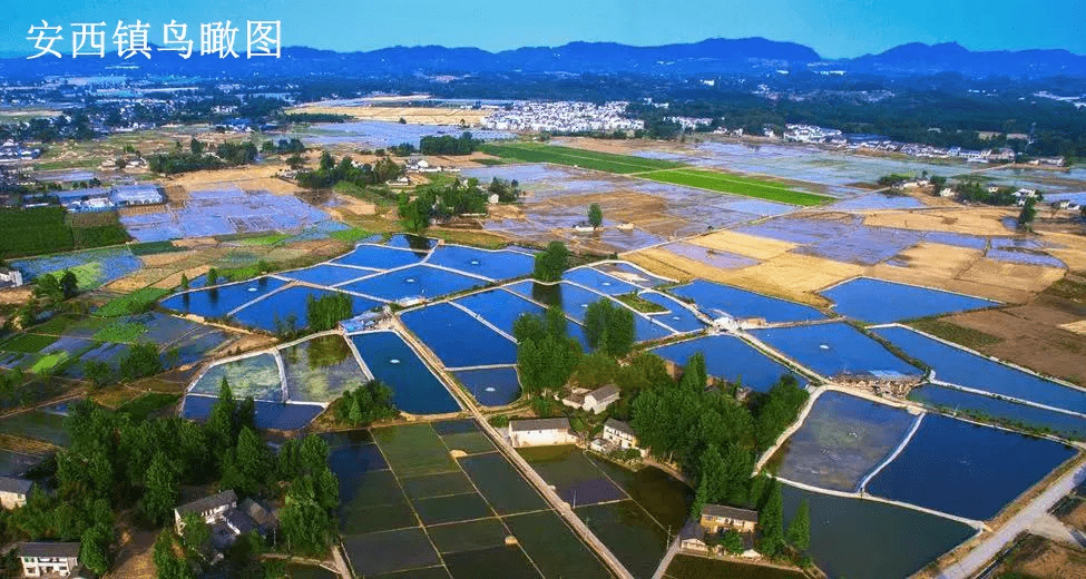 莊河供求園最新一期，繁榮市場(chǎng)的脈搏與活力四溢的機(jī)遇，莊河供求園最新一期，市場(chǎng)繁榮脈搏與活力四溢商機(jī)展