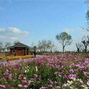 官港森林公園最新消息，官港森林公園最新動態(tài)報道