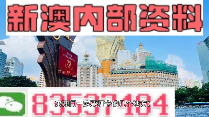 2024新澳門精準資料免費,創(chuàng)新解析執(zhí)行_標準版90.706