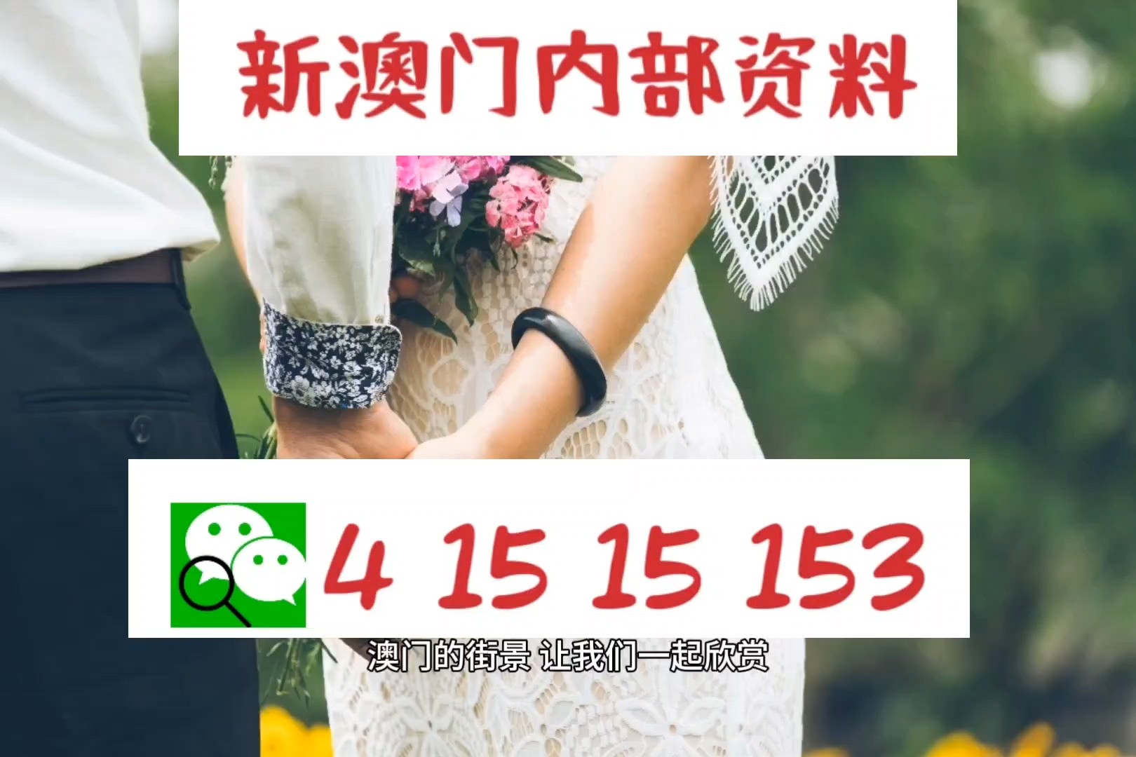 澳門正版資料免費大全新聞——警惕違法犯罪風險，澳門正版資料免費大全新聞需警惕潛在違法犯罪風險