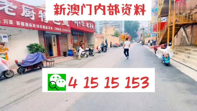 2024澳門天天開好彩背后的真相與挑戰(zhàn)——警惕違法犯罪風(fēng)險(xiǎn)，揭秘澳門天天開好彩背后的真相與挑戰(zhàn)，警惕違法犯罪風(fēng)險(xiǎn)暴露