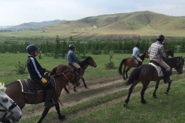 警惕虛假博彩陷阱，切勿參與非法賭博活動——以今晚澳門開特馬四不像為例，警惕虛假博彩陷阱，澳門開特馬四不像背后的風(fēng)險與警示