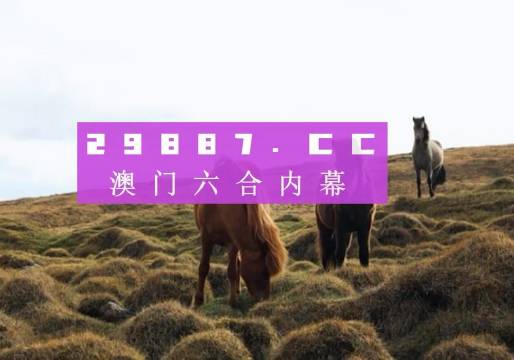 澳門彩票開獎結果最新報道（XXXX年XX月XX日），澳門彩票最新開獎結果報告（XXXX年XX月XX日）