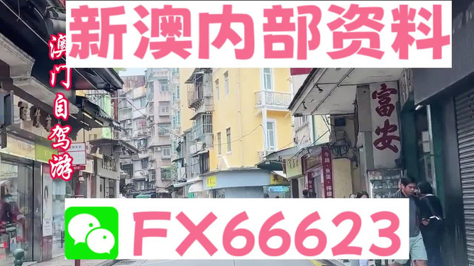 新奧精準(zhǔn)免費(fèi)資料提供，探索與啟示，新奧精準(zhǔn)免費(fèi)資料探索，啟示與分享