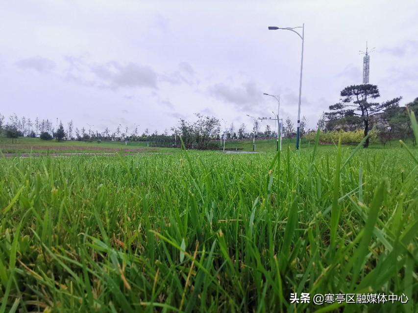 最新降雨量分析與預測，全球各地的降雨趨勢及其影響，全球最新降雨量分析與預測，降雨趨勢及其全球影響概述