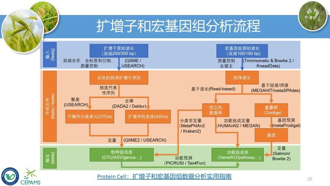 新奧長期免費公開資料,實地策略評估數(shù)據_Premium29.79