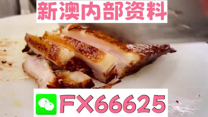 新奧長(zhǎng)期免費(fèi)資料大全，探索與啟示，新奧長(zhǎng)期免費(fèi)資料大全，深度探索與啟示