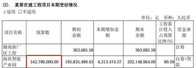 海欣股份目標(biāo)價(jià)30元的投資邏輯與市場(chǎng)展望，海欣股份目標(biāo)價(jià)30元，投資邏輯與市場(chǎng)展望分析