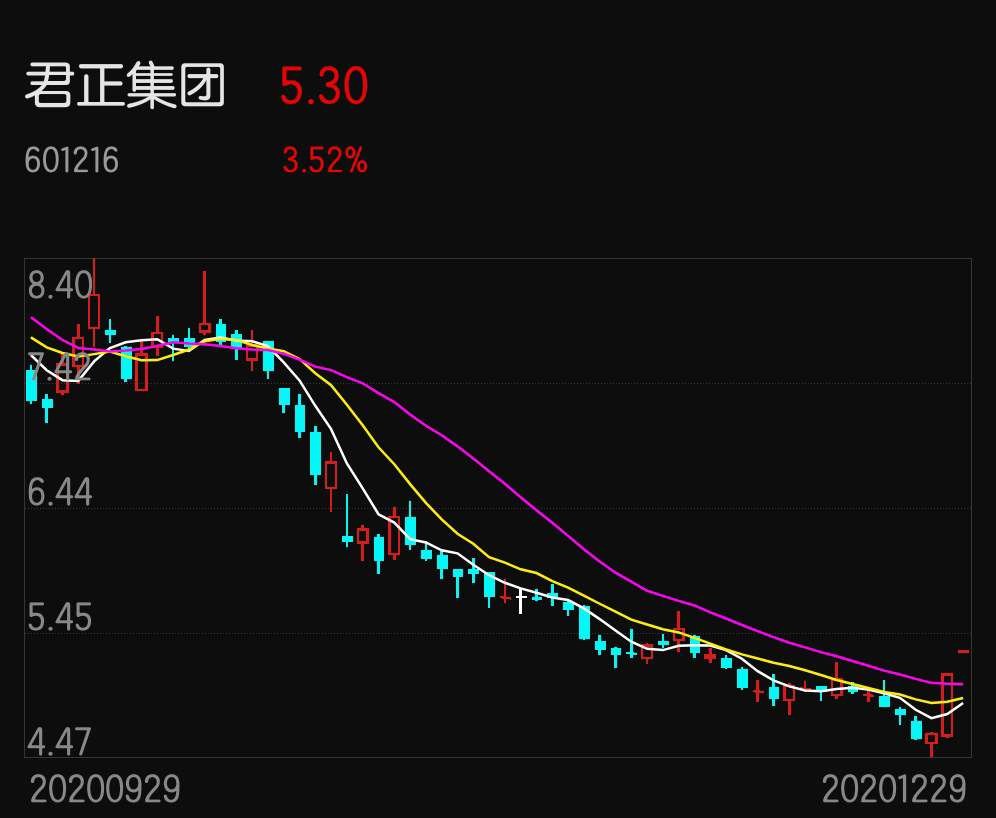 君正集團最賺錢的子公司，揭秘其成功之道與盈利秘訣，君正集團盈利巨頭揭秘，子公司的成功之道與盈利秘訣