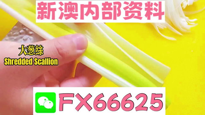 澳門正版資料免費大全新聞，揭示違法犯罪問題的重要性與應(yīng)對之道，澳門正版資料免費大全新聞，違法犯罪問題的應(yīng)對之道與重要性揭秘