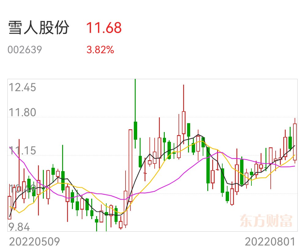 雪人股份可能面臨收購(gòu)，機(jī)遇與挑戰(zhàn)并存，雪人股份面臨收購(gòu)，機(jī)遇與挑戰(zhàn)并存