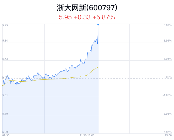 浙大網(wǎng)新股價上漲2.99%，解析背后的因素與前景展望，浙大網(wǎng)新股價上漲2.99%，因素解析與未來前景展望