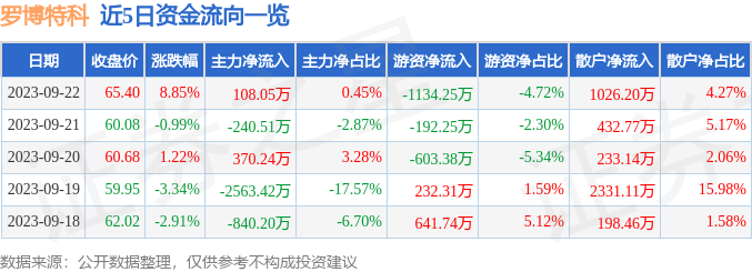 羅博特科，未來能否成為十倍牛股？，羅博特科，未來能否成為十倍增長潛力股？