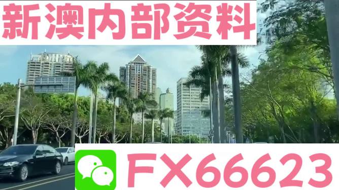 新澳精準(zhǔn)資料免費(fèi)提供，探索第510期的價(jià)值與奧秘，新澳第510期資料揭秘，探索價(jià)值與奧秘的精準(zhǔn)指南