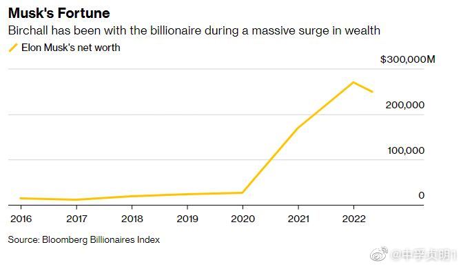 馬斯克財(cái)富增長1190億美元，探索新財(cái)富時(shí)代的引領(lǐng)者，馬斯克引領(lǐng)新財(cái)富時(shí)代，財(cái)富增長達(dá)1190億美元