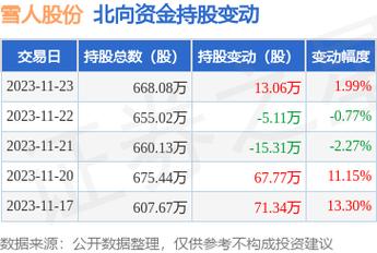 雪人股份目標(biāo)價(jià)2024年，深度分析與展望，雪人股份2024年目標(biāo)價(jià)深度分析與展望