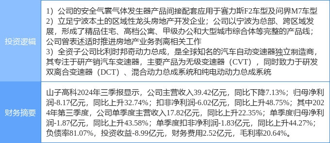 山子高科未來潛力，探索與前瞻，山子高科未來潛力展望與前瞻探索