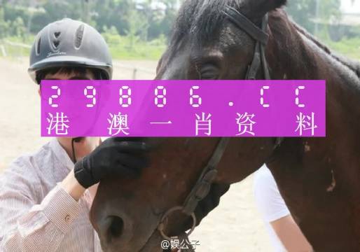 澳門今晚必中一肖一碼準(zhǔn)確9995,狀況評估解析說明_視頻版33.381