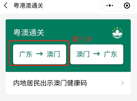 澳門碼資料與違法犯罪問題，澳門碼資料與違法犯罪問題探究