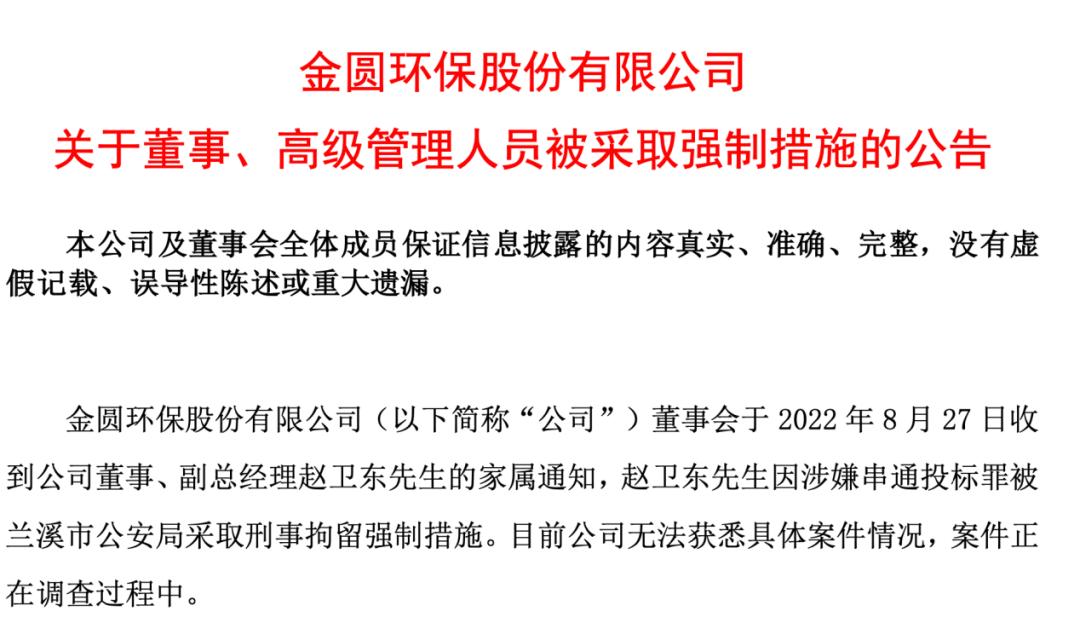 實控人被刑拘背后的股票大漲現(xiàn)象深度解析，實控人被刑拘背后的股票大漲現(xiàn)象揭秘