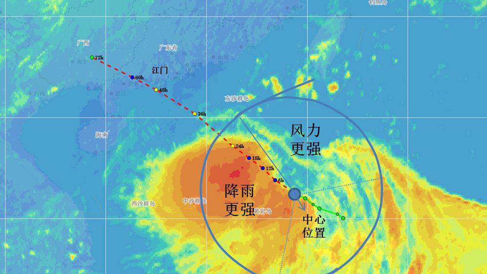 臺風鸚鵡最新動態(tài)，影響與應對措施，臺風鸚鵡最新動態(tài)，影響及應對策略