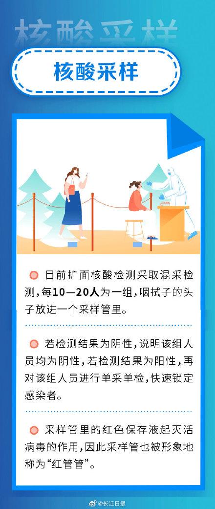 核酸檢測(cè)最新消息，技術(shù)進(jìn)展與應(yīng)用前景展望，核酸檢測(cè)技術(shù)最新進(jìn)展與應(yīng)用前景展望