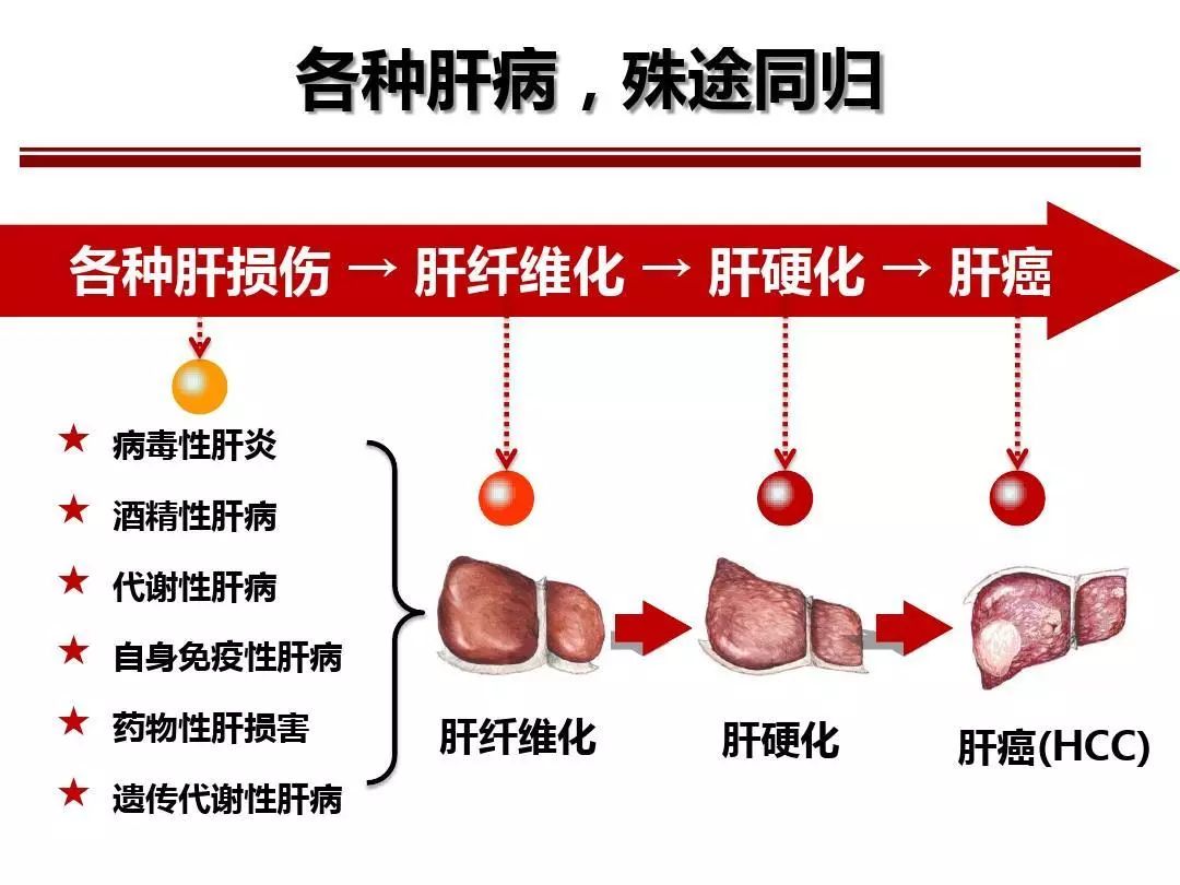 最新肝炎癥狀及其影響，理解、預(yù)防與應(yīng)對(duì)，最新肝炎癥狀、影響、預(yù)防與應(yīng)對(duì)策略解析