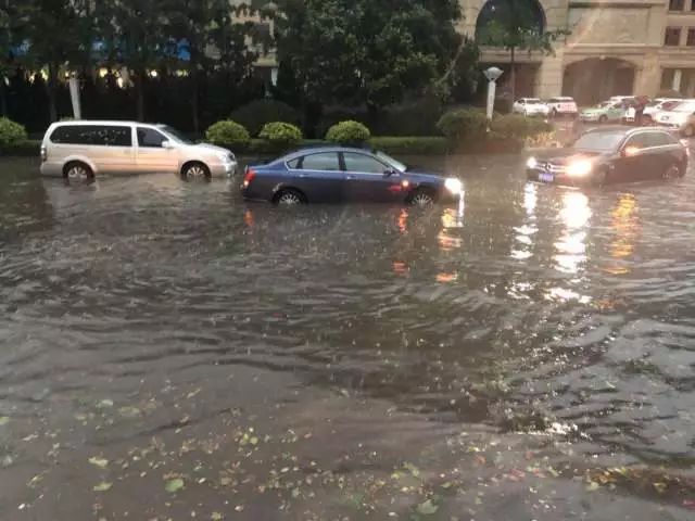 青島大暴雨最新情況報告，青島大暴雨最新情況報告，暴雨影響及應對措施分析