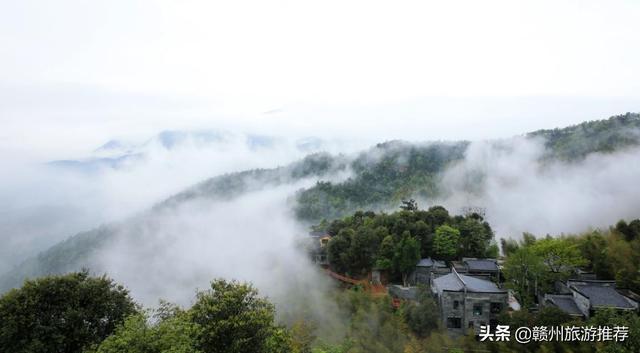 最新云想山，自然之美與科技之力的完美結(jié)合，云想山，自然與科技完美交融之美