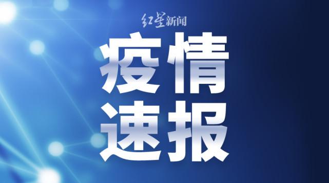 湖南最新肺炎確診情況分析，湖南最新肺炎疫情確診情況分析