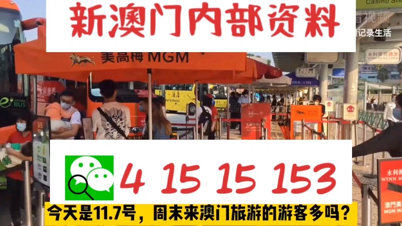 警惕新澳門一肖一碼中特的潛在風險——遠離賭博犯罪，警惕新澳門一肖一碼中特，遠離賭博犯罪風險