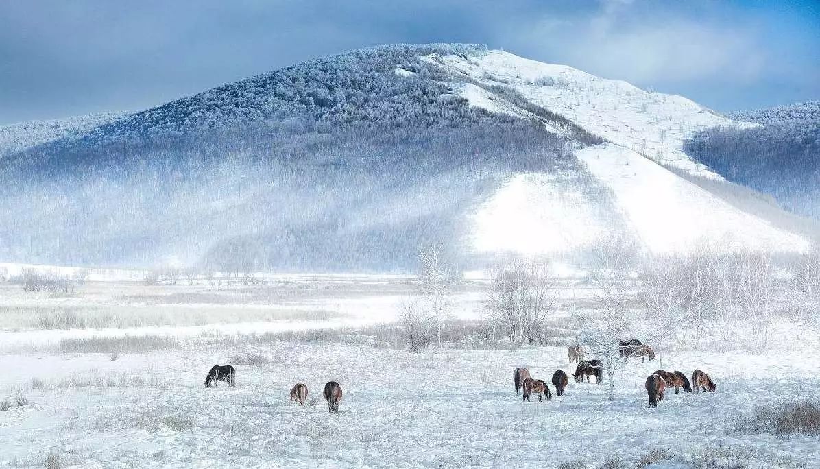 國內(nèi)哪里雪景最美——探尋中國最美的雪景勝地，中國最美的雪景勝地探尋之旅