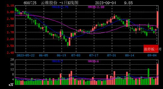 云維股份的明天，股價(jià)上漲的可能性分析，云維股份股價(jià)上漲潛力分析，未來(lái)走勢(shì)展望