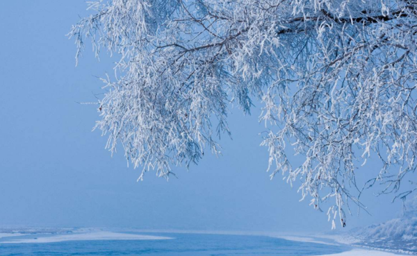 哪里可以看雪，一場關(guān)于雪景的探尋之旅，雪景探尋之旅，踏遍千山萬水只為那一場雪的美景