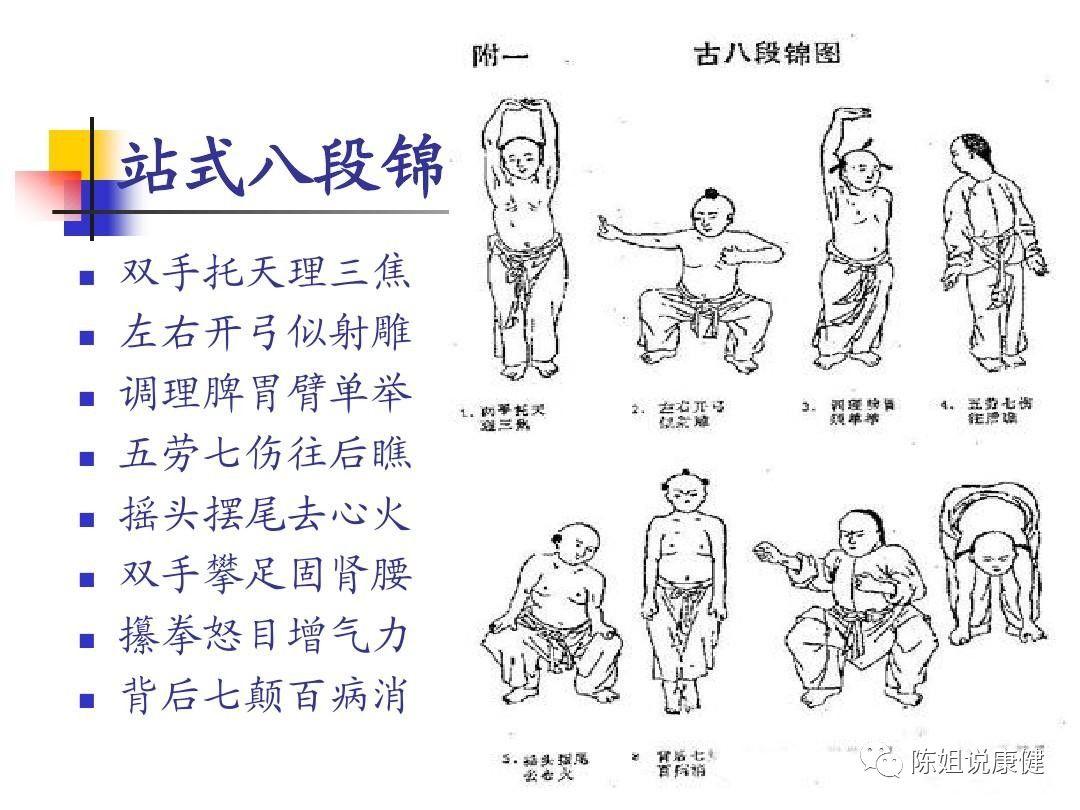 紫凝最新資料概覽，紫凝最新資料概覽全解析