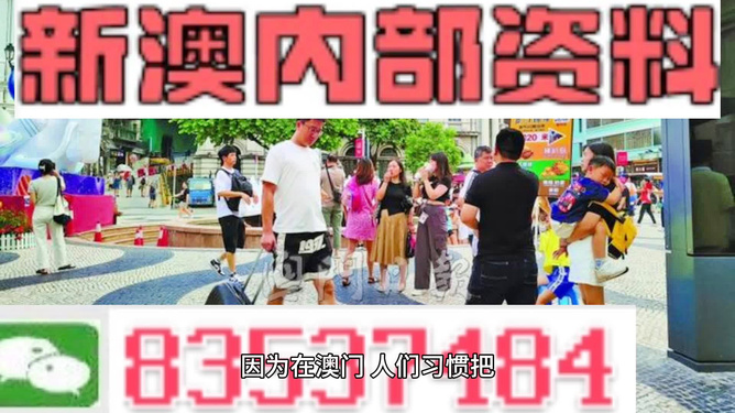 探索未來，解析2024新澳精準(zhǔn)正版資料的重要性與價(jià)值，解析2024新澳正版資料，探索未來的價(jià)值與重要性