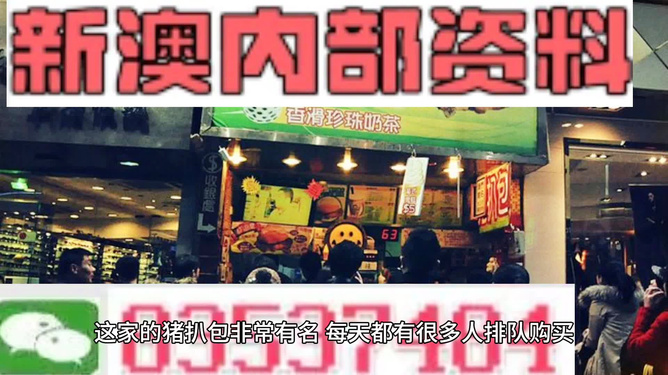 新奧天天精準(zhǔn)資料大全，探索與洞察，新奧天天精準(zhǔn)資料大全，探索與洞察的洞察