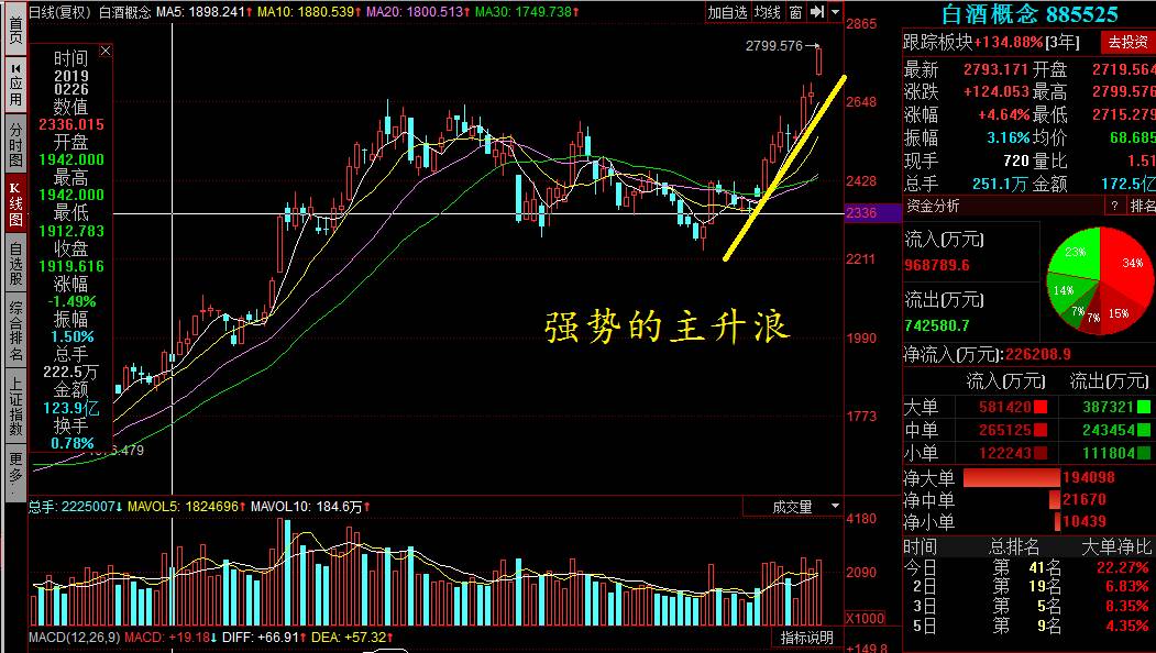 創(chuàng)歷史新高的股票，探尋背后的力量與機(jī)遇，創(chuàng)歷史新高的股票，背后的力量與機(jī)遇解析