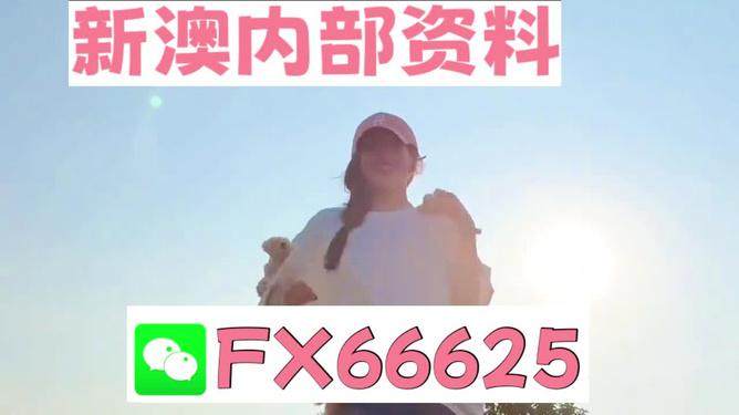 揭秘彩票背后的神秘?cái)?shù)字，精準(zhǔn)一肖與數(shù)字組合的魅力，彩票背后的神秘?cái)?shù)字揭秘，精準(zhǔn)一肖與數(shù)字組合的魅力探索