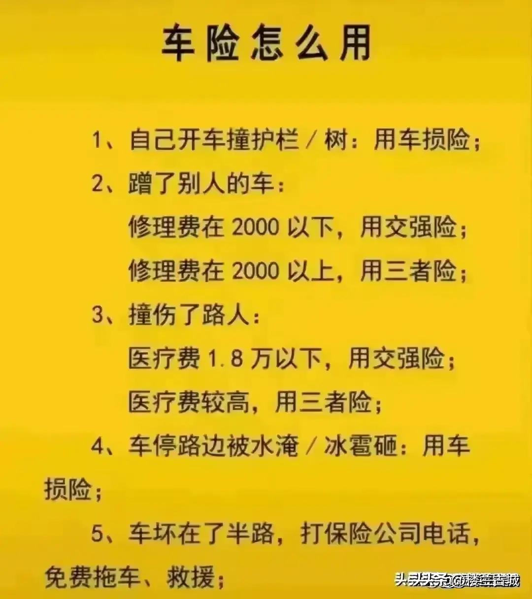 參考消息數(shù)字報(bào)，重塑新聞行業(yè)的數(shù)字化先鋒，重塑新聞行業(yè)先鋒，數(shù)字化引領(lǐng)下的參考消息數(shù)字報(bào)時(shí)代