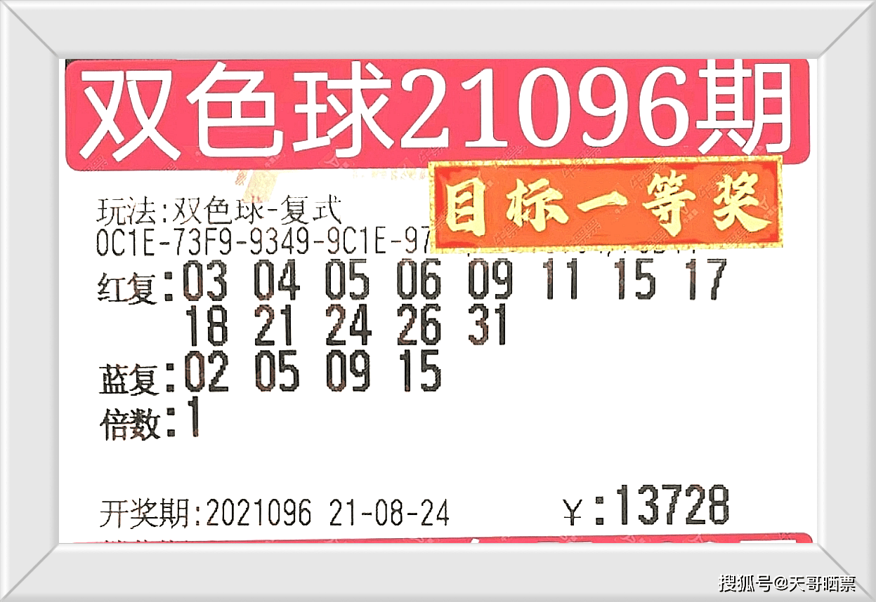 新澳門彩開獎結(jié)果，探索隨機性與樂趣的交匯點，新澳門彩開獎結(jié)果，隨機性與樂趣的交匯點探索