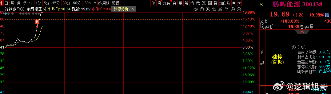 關(guān)于股票300438的全面解析，股票300438全方位深度解析