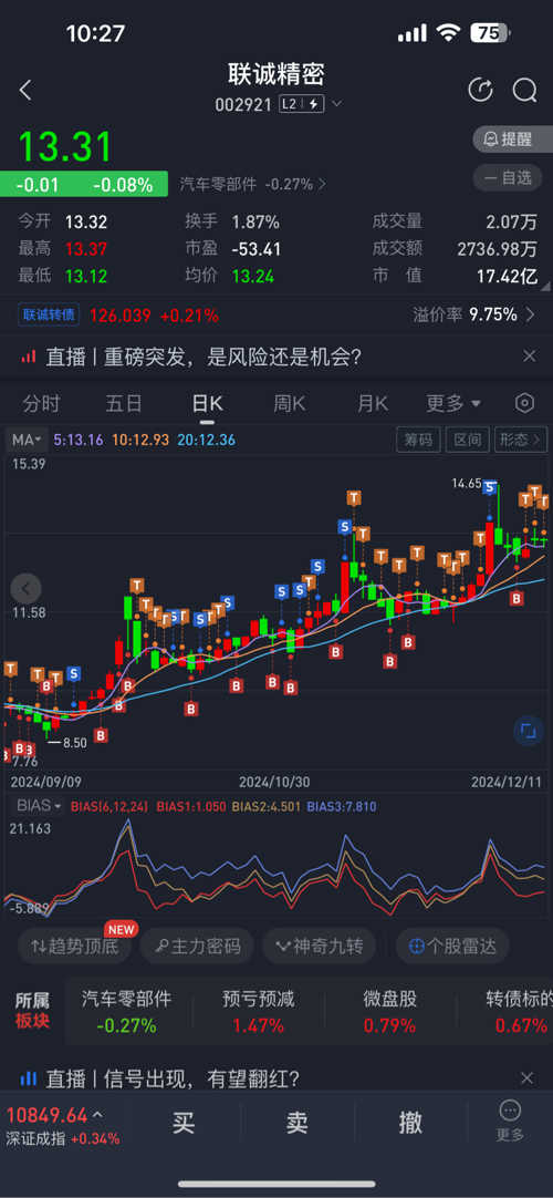 聯(lián)誠精密股票，探究其背后的力量與未來展望，聯(lián)誠精密股票，背后的力量與未來展望分析