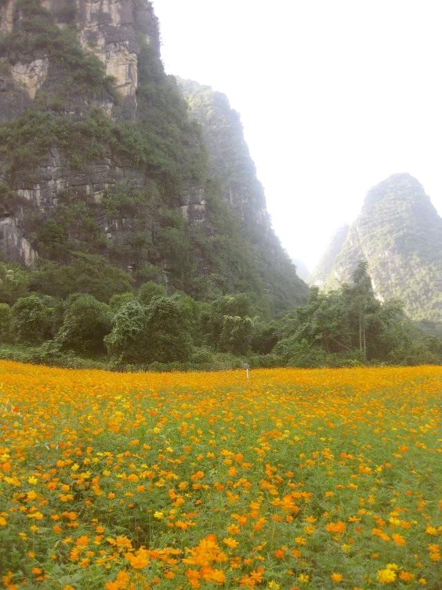 遇龍河漂流，一次難忘的水上冒險(xiǎn)之旅，遇龍河漂流，難忘的水上冒險(xiǎn)之旅體驗(yàn)