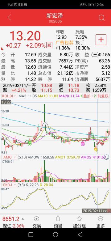 新宏澤股票，市場趨勢與投資策略分析，新宏澤股票，市場趨勢解讀與投資策略探討